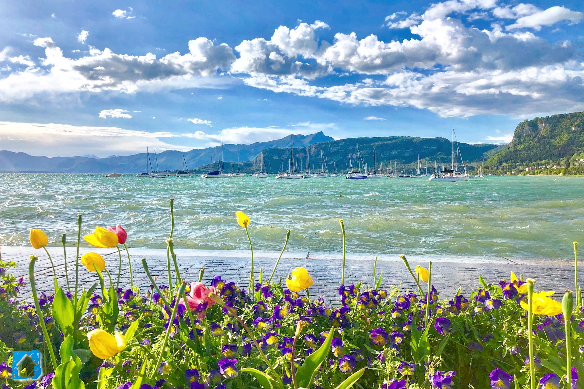 fotografia di Bardolino e il Lago d Garda